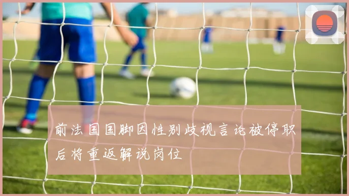 前法国国脚因性别歧视言论被停职后将重返解说岗位