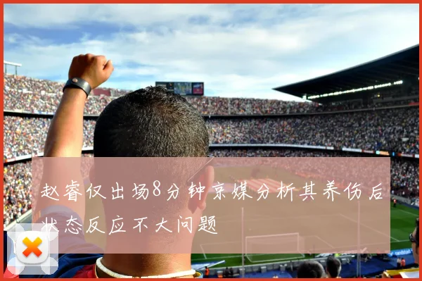 赵睿仅出场8分钟京媒分析其养伤后状态反应不大问题