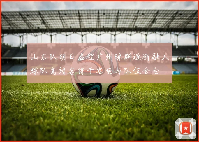 山东队明日启程广州琼斯逐渐融入球队高诗岩将于客场与队伍会合