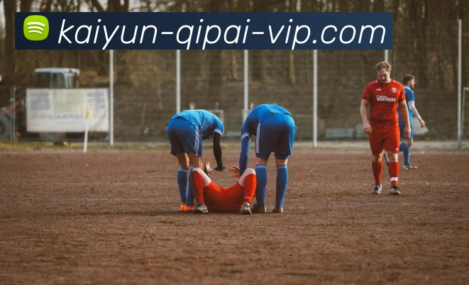 多媒体互动体验